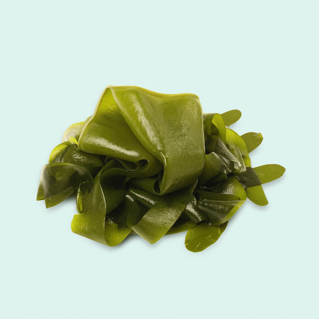 Algues Brun-Vert